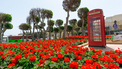 Flowers arrangement and roundabouts 