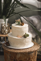 Elegant white Two Tier wedding cake with flowers and succulents on the wooden log on the background of decorations in rustic style