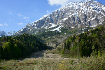 Fototapeta na wymiar the landslide on the Tessina stream, in Chies d'Alpago, in Belluno, Italy