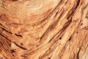 The texture of rotten wood. Annual rings and cracks in the old tree. Horizontal seamless wooden background. Texture in high resolution. Color image.
