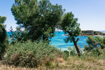 Fototapete bei efototapeten.de bestellen   