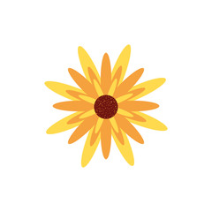 beautiful flower nature isolated icon
