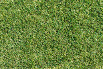 Green Artificial Lawn background. texture of the artificial lawn of green color, View from above.