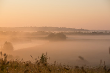 Fototapeta premium Foggy dawn