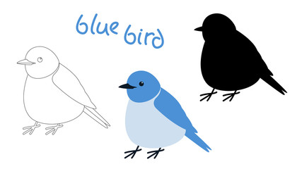 set bluebird vector illustration,flat style, profile