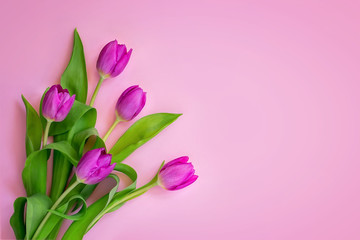 A bouquet of beautiful purple tulips with green leaves on a pastel pink background. Romantic greeting card with copy space.