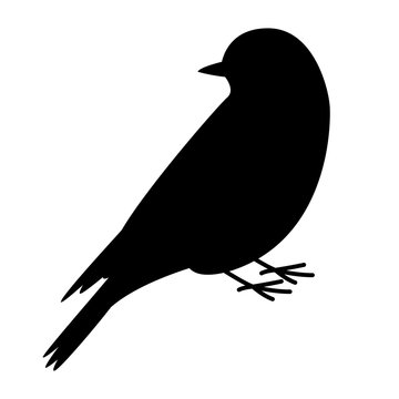  Bluebird Vector Illustration, Black Silhouette, Profile