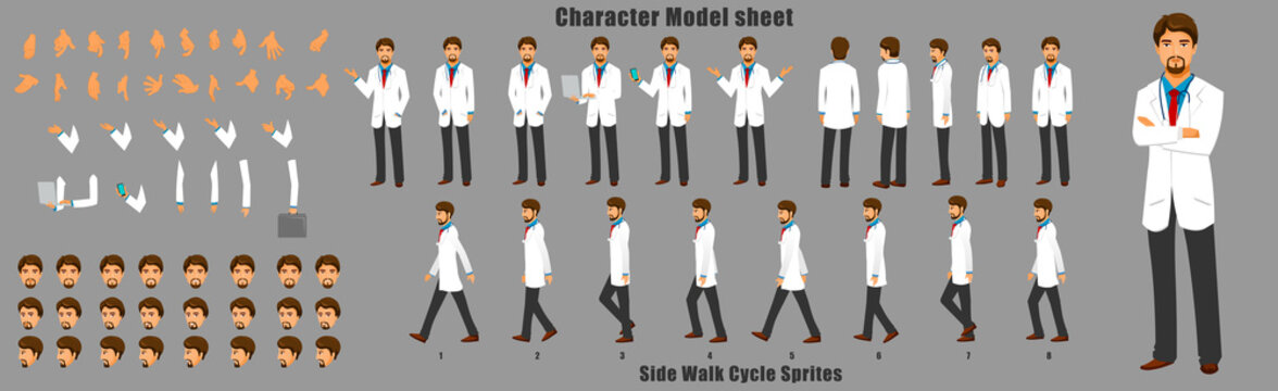 Doctor Character Model sheet with Walk cycle Animation Sequence 