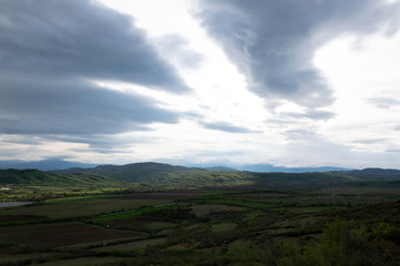 Spring in the mountains, fresh green vegetation.