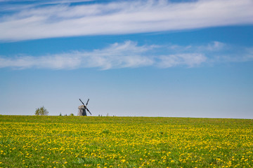 The old windmill on the yellow field under blue sky and clouds. Belaus