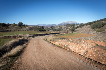 Camino rural agr&iacute;cola