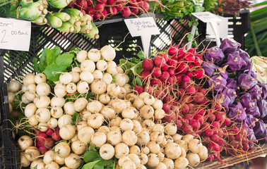 Radishes at an Outdoor Farmers Market