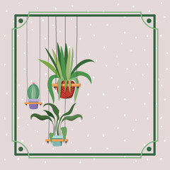 frame with houseplants and cactus hanging in macrame