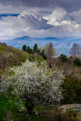 Spring nature with rainy clouds, Armenia