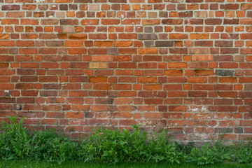 Backsteinmauer mit Unkraut