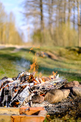 open fire burning logs in field with green grass