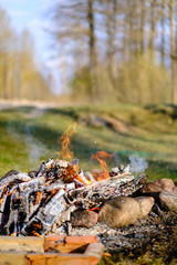 open fire burning logs in field with green grass