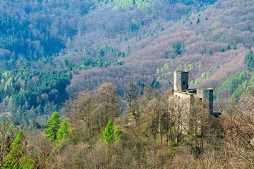 Fototapeta na wymiar Burg Gräfenstein