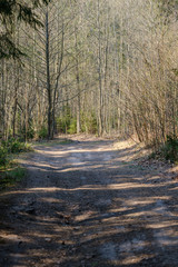beautiful gravel road in countryside
