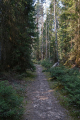 Obraz premium beautiful gravel road in countryside