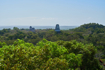 Naklejka premium View on the ancient Temples amongst of the tropical jungle, Tical, Guatemala.