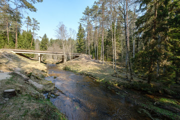 bridge over small forest river