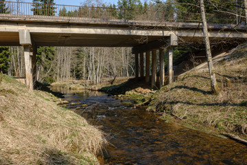 bridge over small forest river