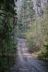 beautiful gravel road in countryside