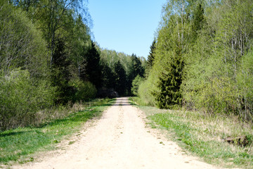 Fototapeta premium beautiful gravel road in countryside
