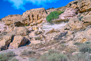 Fototapeta premium Берег Каспия