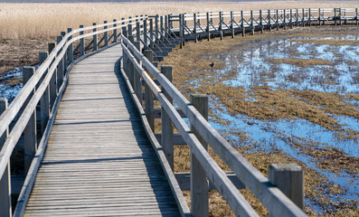The pedestrian wooden footbridge with the railing goes through the dry reeds in the lake, with shallow water all around