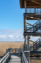 pedestrian walkway with handrails passing through dry reeds in the lake to the bird watching tower, all around is shallow water