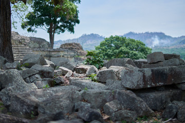 Fototapeta na wymiar Life amongst the ancient rubble and ruin. Copan. Honduras.