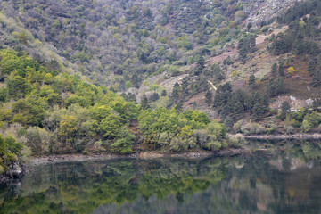 The Sil Canyon is a gorge excavated by the river Sil, in Galicia, near the union of this one with the Miño river, in the zone of the Ribeira Sacra.