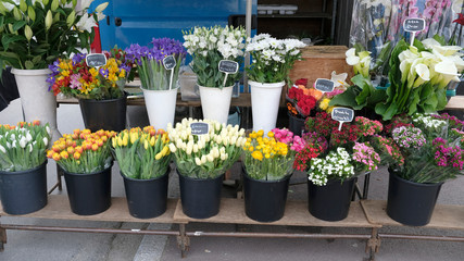 fleuriste sur le marché