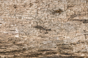 Closeup of old natural wood grunge texture. Dark surface with old natural wooden pattern. Vintage wooden floor.