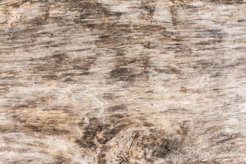 Closeup of old natural wood grunge texture. Dark surface with old natural wooden pattern. Vintage wooden floor.