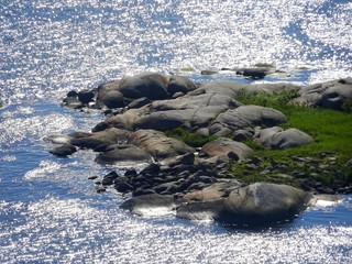 Skerry island in Göteborg Sweden