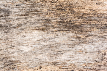 Naklejka premium Closeup of old natural wood grunge texture. Dark surface with old natural wooden pattern. Vintage wooden floor.