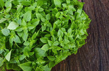 Fresh green basil leaves over wooden background.