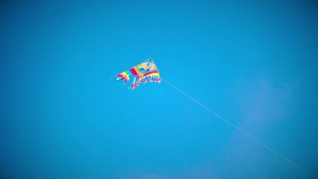 Kite flying in the blue sky