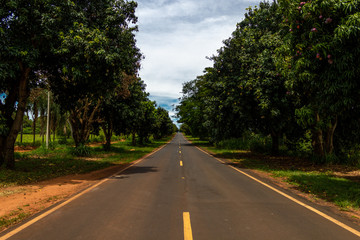 A estrada