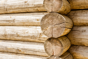 Logs, cut logs close-up