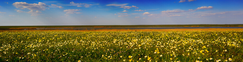 Sun rays in the blooming steppe. View of the steppe from the height of the hill. Large lakes are visible.
