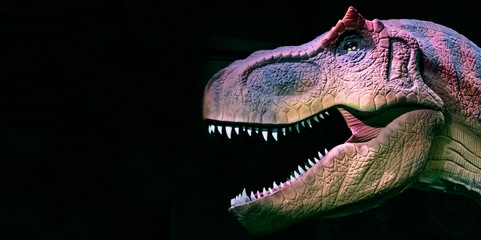Prehistoric predatory animal Dinosaur, Tyrex. Head of Tyrannosaurus close up on black background. Copy space