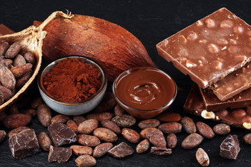 Melting chocolate or melted chocolate with a chocolate swirl and stack, chips and powder on black