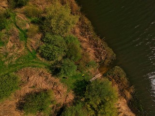 river in the forest