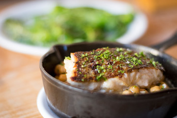 Fish close up hake