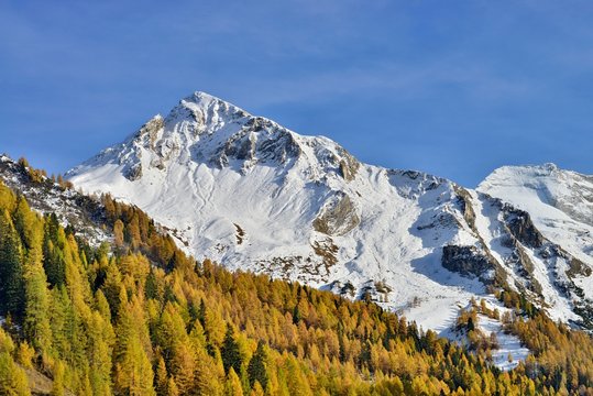 Schoberspitzen and Olperer from Toldern Ausblick, Tyrol, Austria, Europe