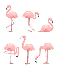 Cute cartoon peach pink flamingo set. Funny flamingo collection. Cartoon animal character design. Flat vector illustration isolated on white background